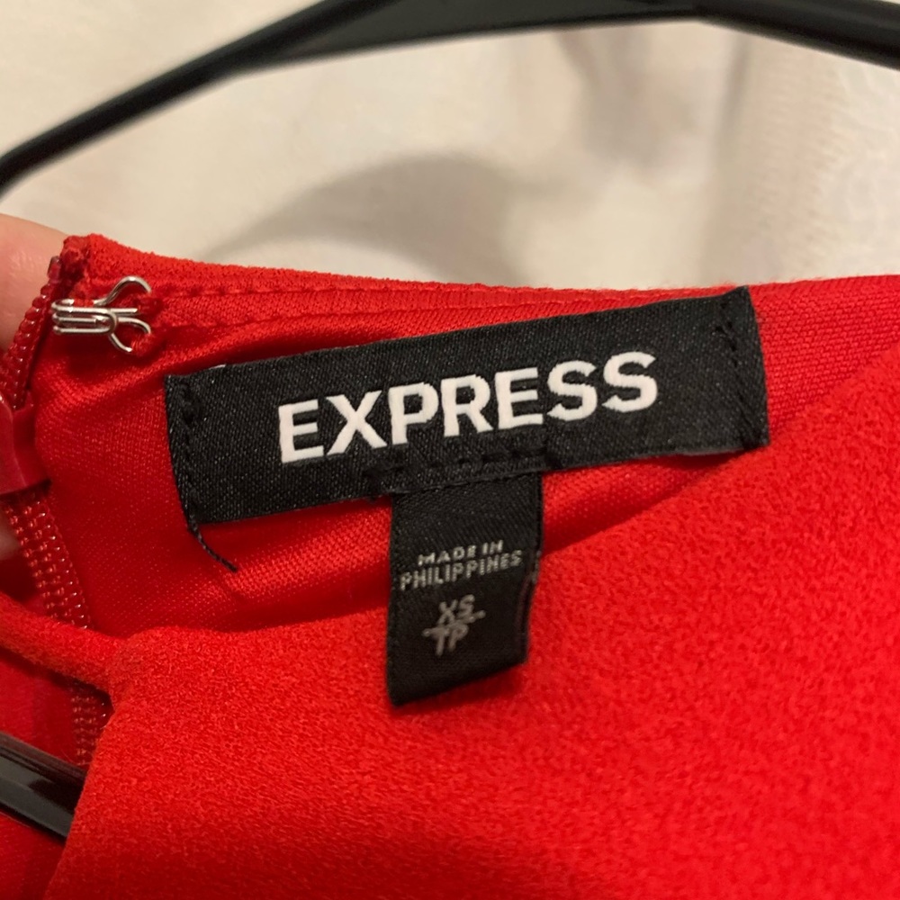 Express Dress - Picture 5 of 5